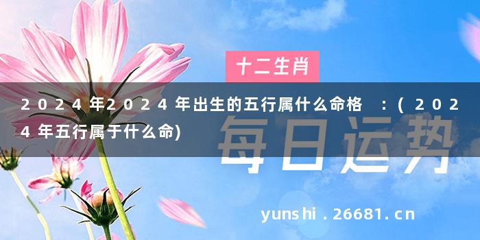 2024年2024年出生的五行属什么命格 :(2024年五行属于什么命)